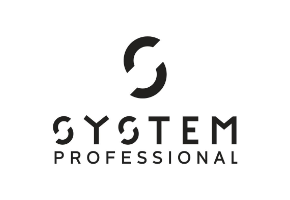 System professional